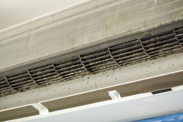 Best Air Duct Cleaning Near Me in CO